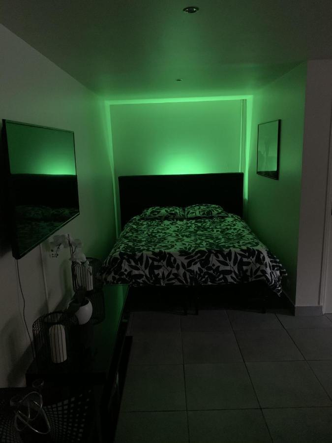 Appartement Cosy Proche Roissy Cdg Asterix Disneyland Paris 구시앙빌 객실 사진