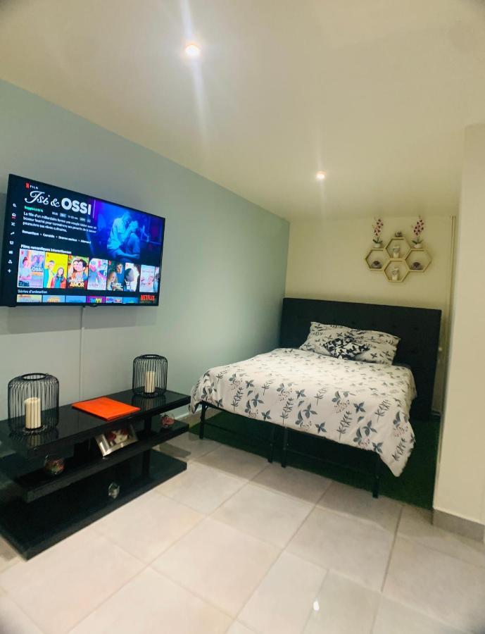 Appartement Cosy Proche Roissy Cdg Asterix Disneyland Paris 구시앙빌 외부 사진